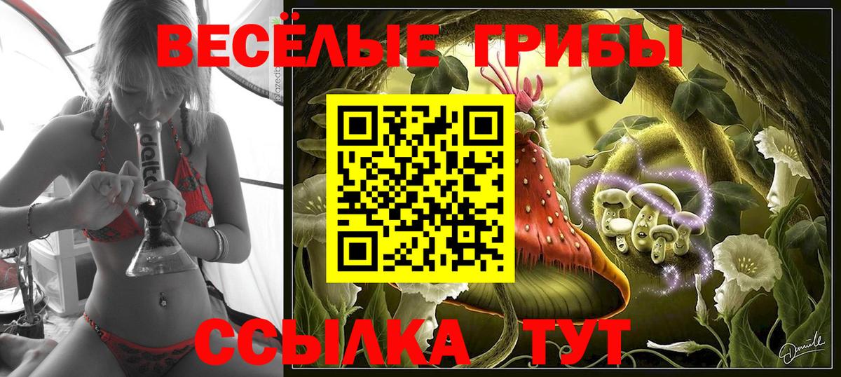 Псилоцибиновые грибы Psilocybe  Вход с VPN  Южно-Сахалинск  цена наркотик  Псилоцибиновые грибы мухоморы 